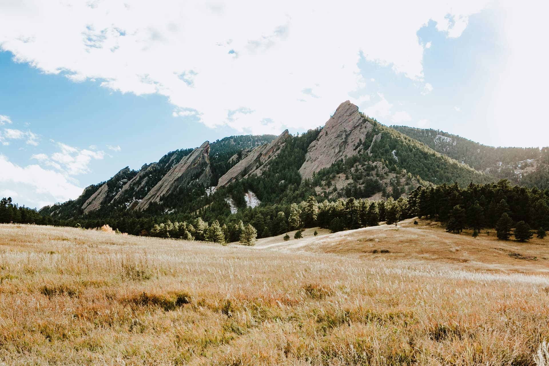 Boulder's Flatirons above a golden meadow