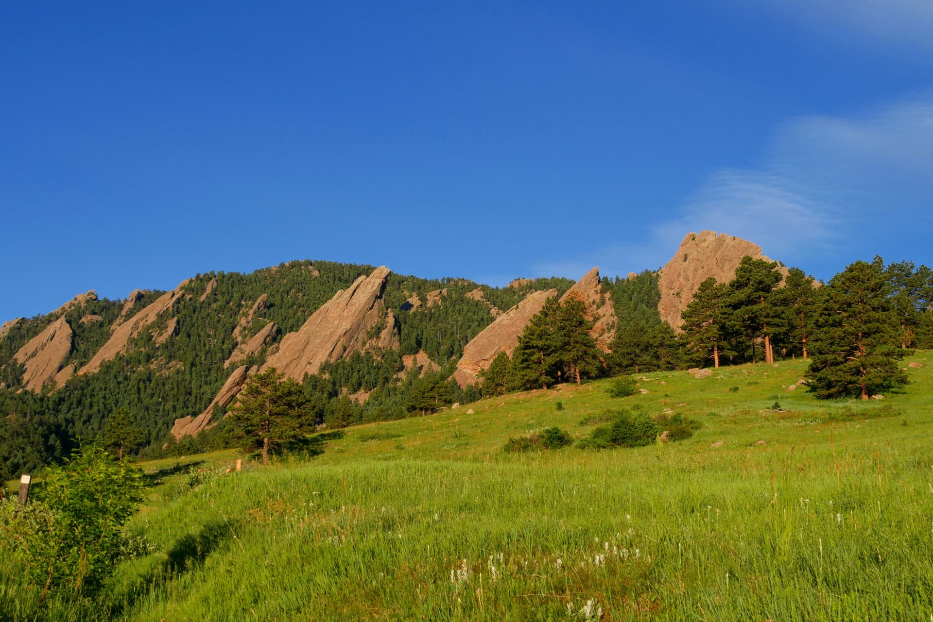 Sunlit Flatirons above a grassy hillside in Boulder