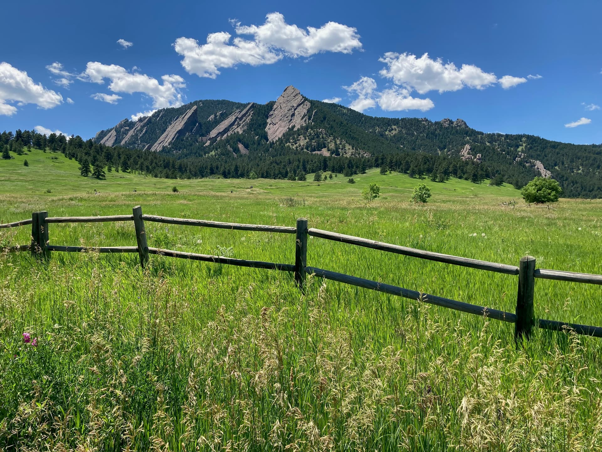 Split-rail fence and green meadow below Boulder's Flatirons
