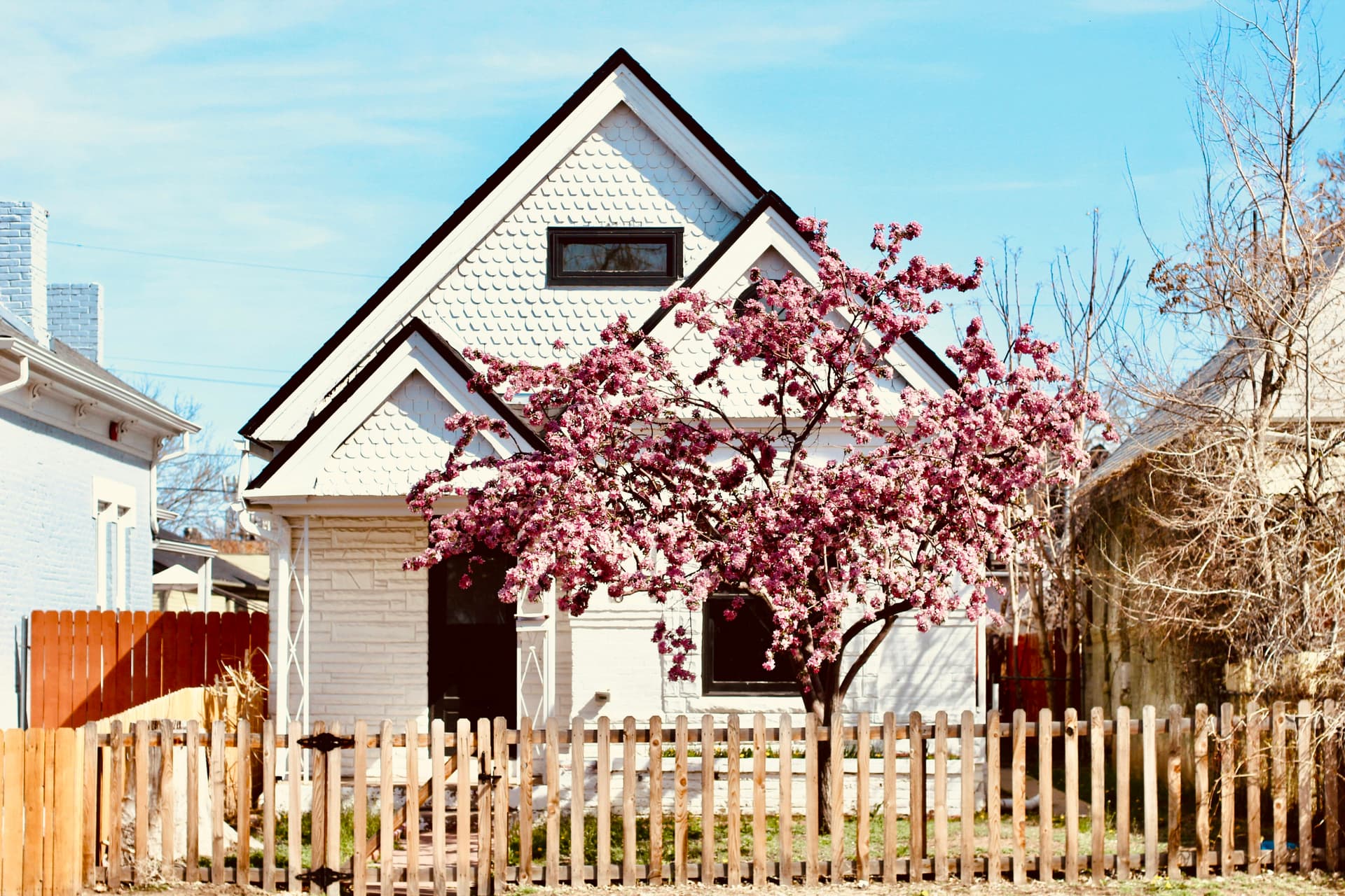White Victorian cottage with a blooming magnolia on Curtis Street, Denver