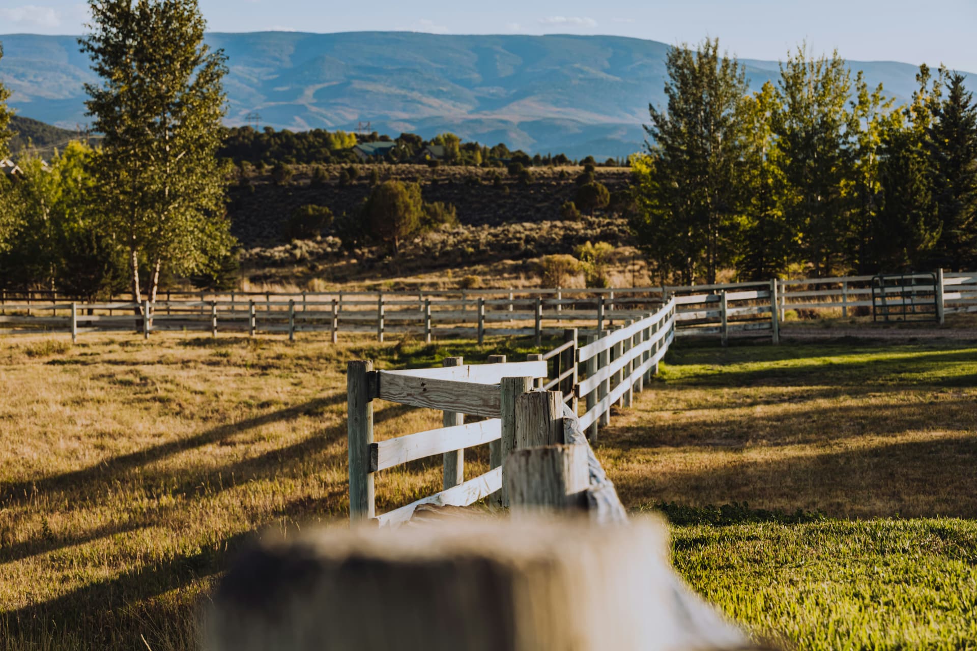 White ranch fence across a pasture near Eagle with mesas behind
