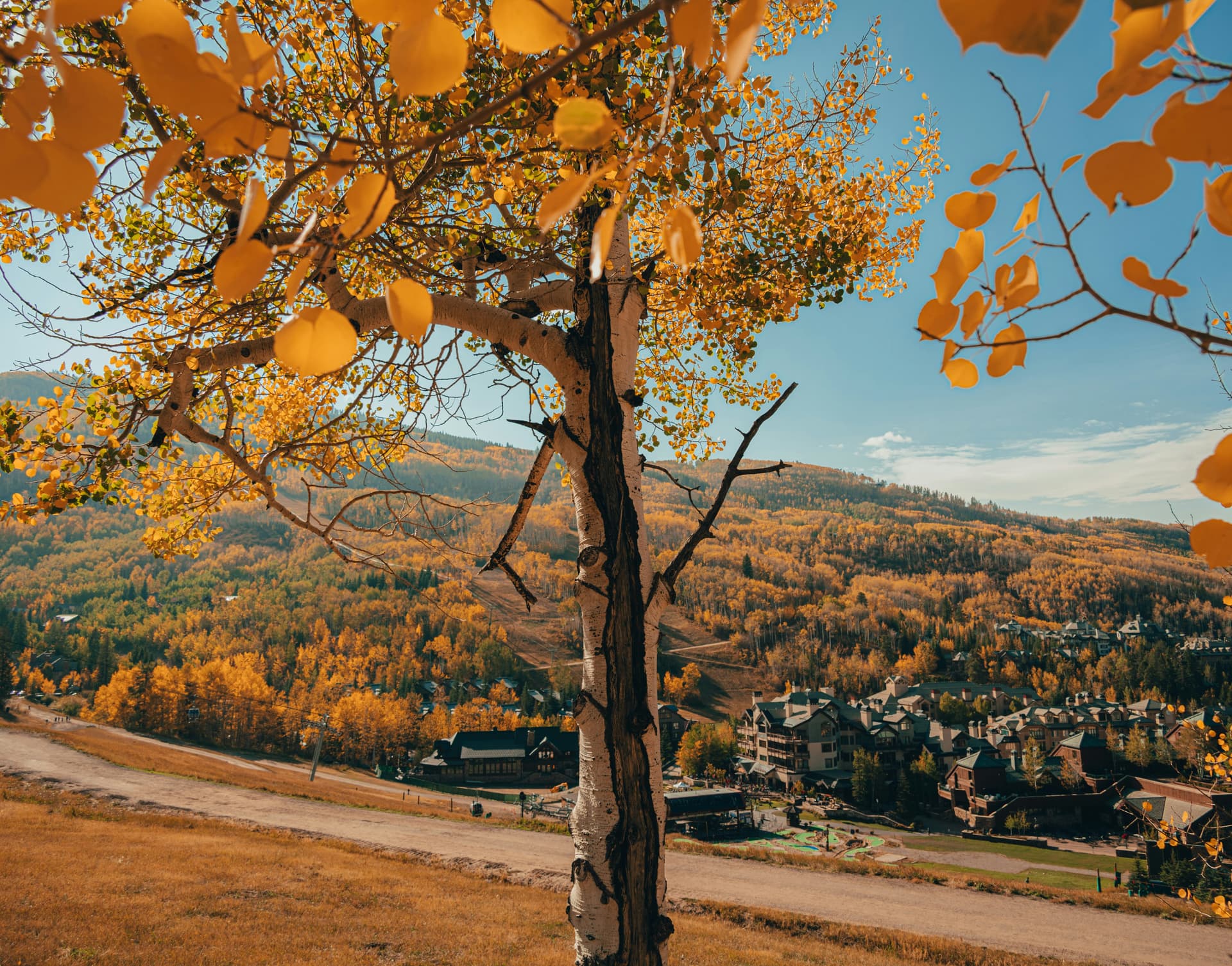 Golden aspen framing the Beaver Creek resort village in autumn